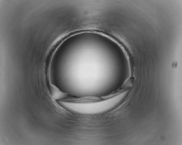 X0000096131452200802011137