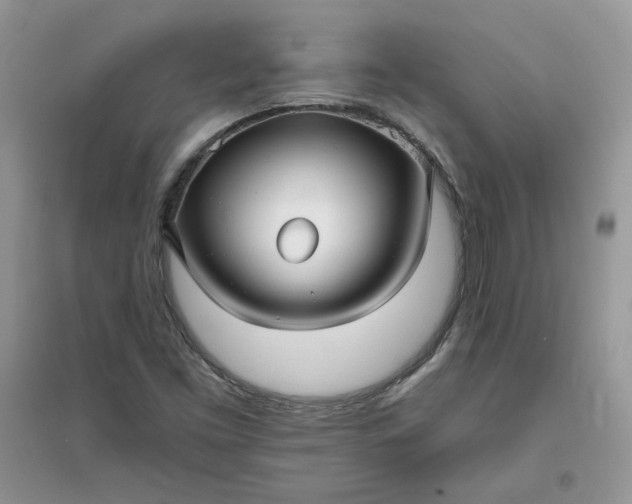 X0000096131453200802011137