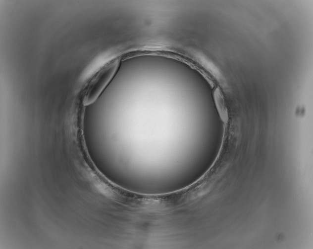 X0000096131456200802011136