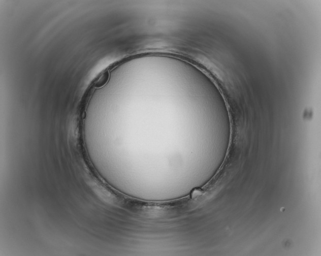 X0000096131458200802011136