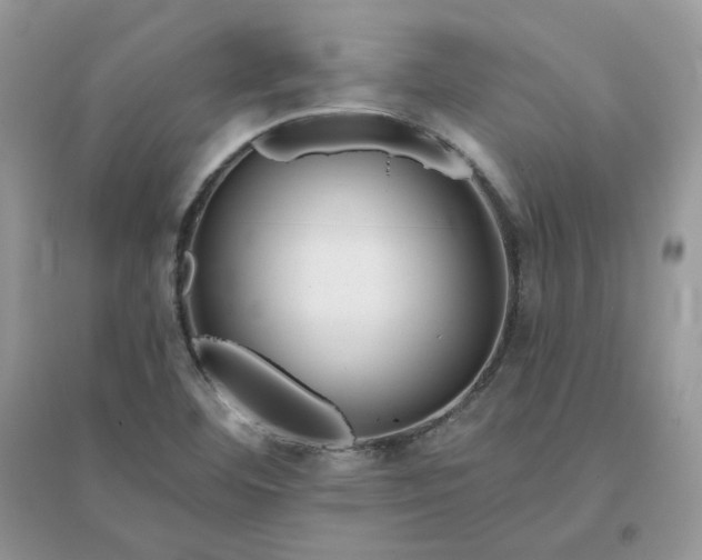 X0000096131460200802011136