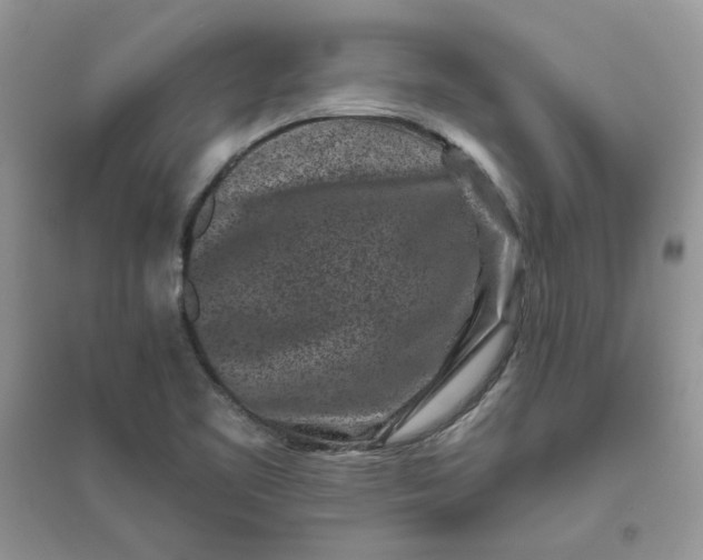 X0000096131461200802011136