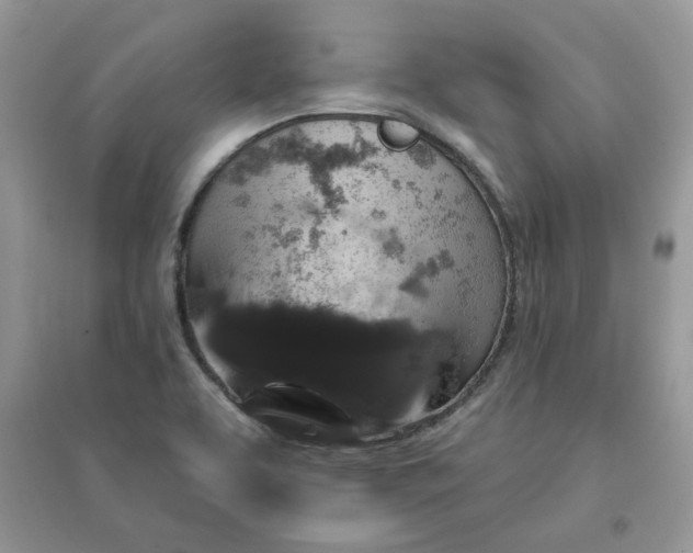 X0000096131463200802011136