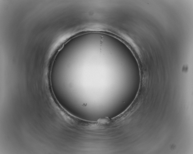 X0000096131464200802011136