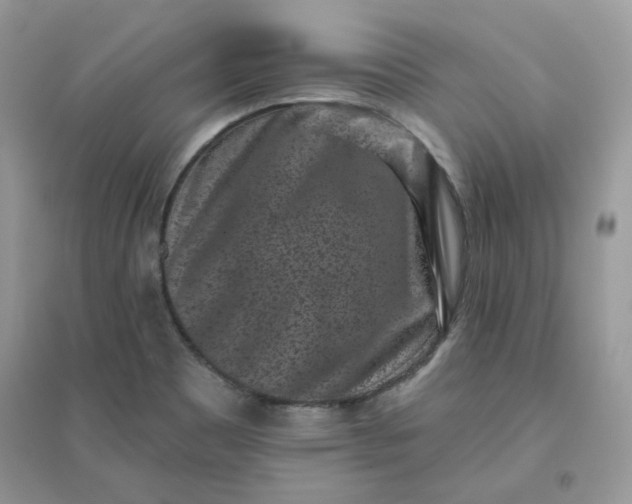 X0000096131465200802011136