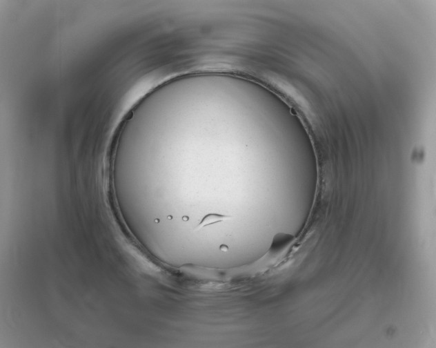 X0000096131467200802011136