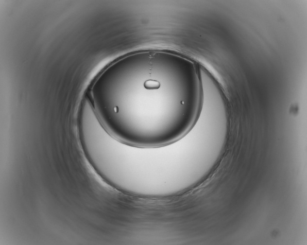X0000096131468200802011136