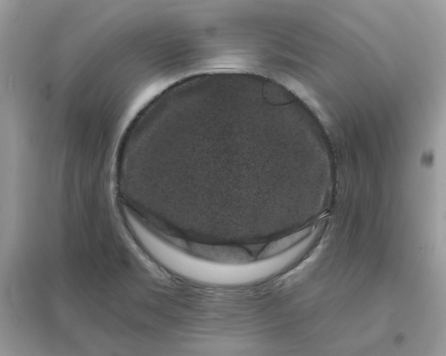 X0000096131469200802011136