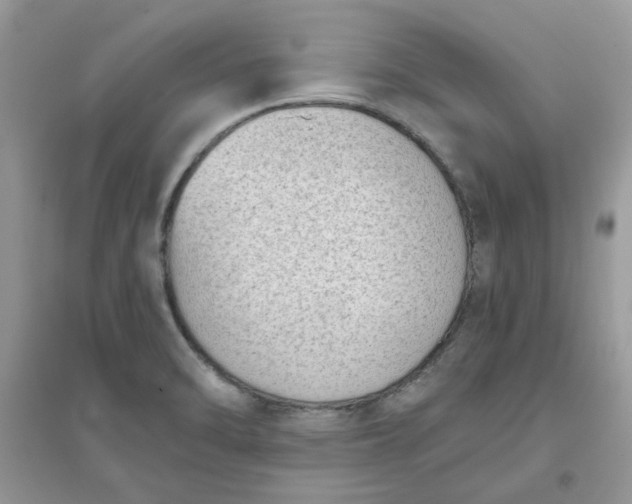 X0000096131470200802011136