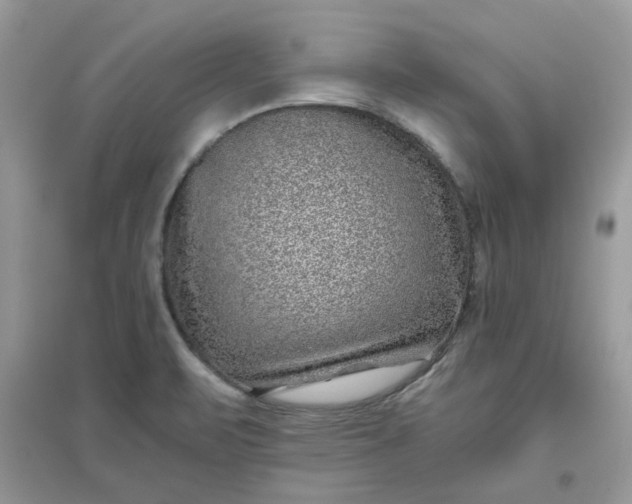 X0000096131471200802011136