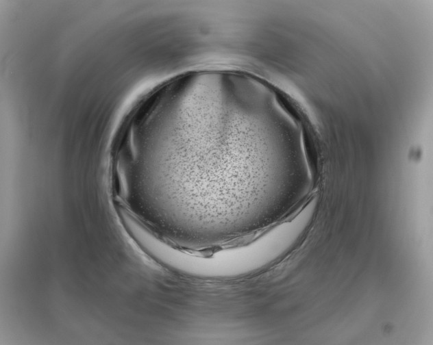 X0000096131472200802011136