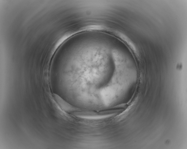 X0000096131473200802011136