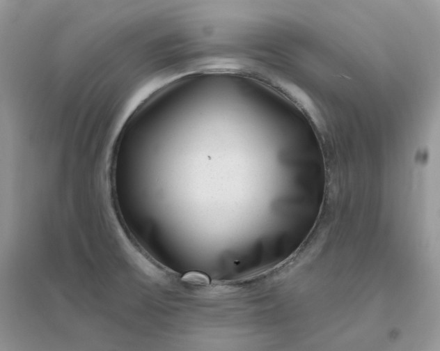 X0000096131475200802011136
