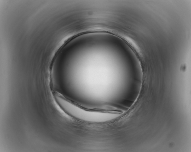 X0000096131476200802011136