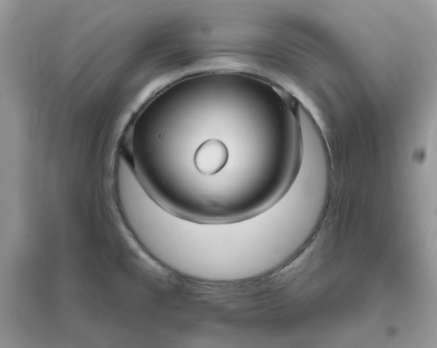 X0000096131477200802011136