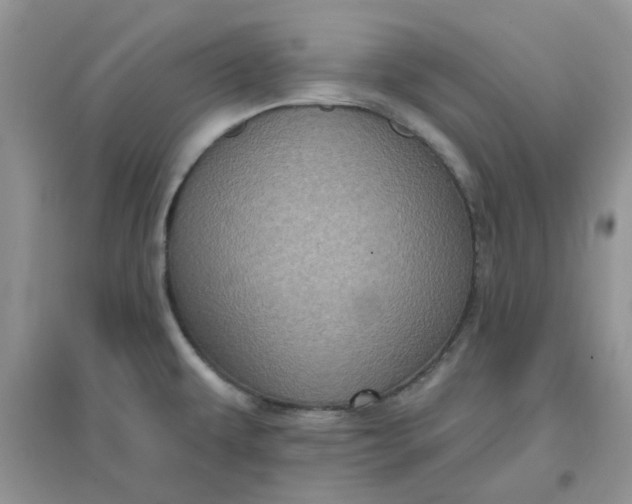 X0000096131479200802011136