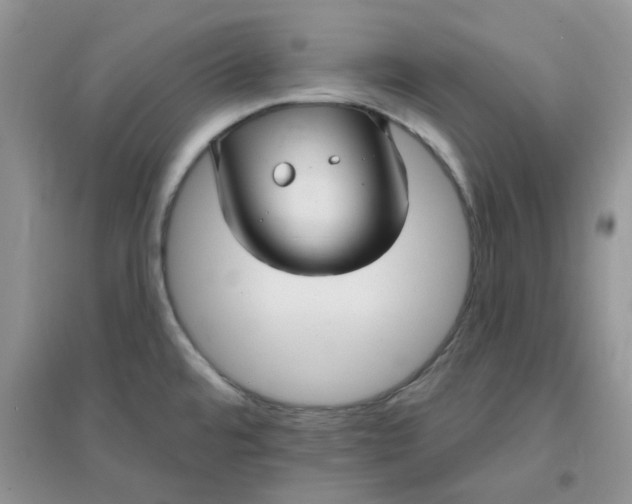 X0000096131480200802011136