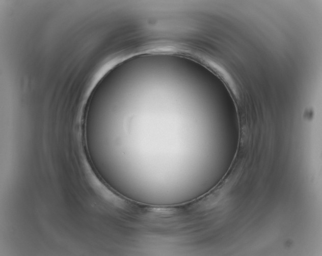 X0000096131483200802011136