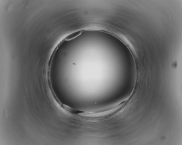 X0000096131484200802011136
