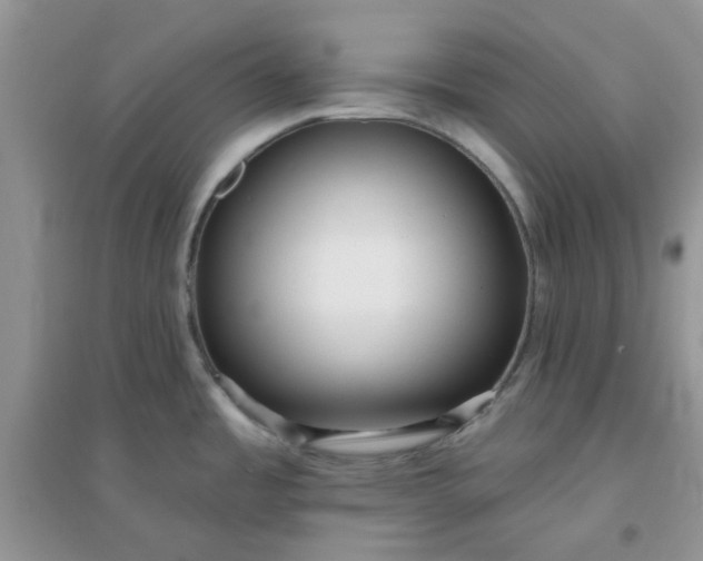 X0000096131485200802011136