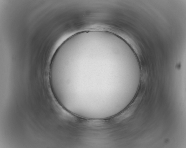 X0000096131486200802011136