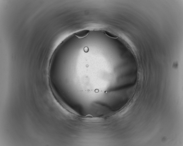 X0000096131487200802011136