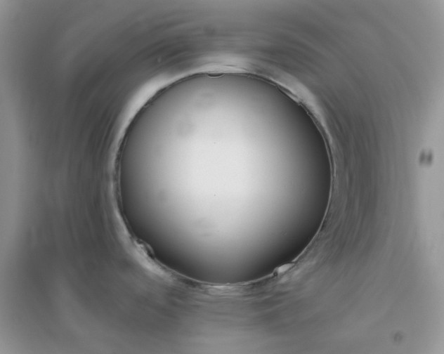 X0000096131488200802011136