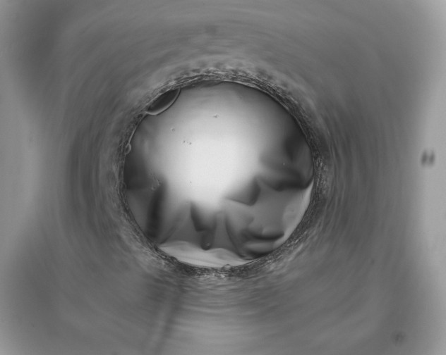 X0000096131489200802011135