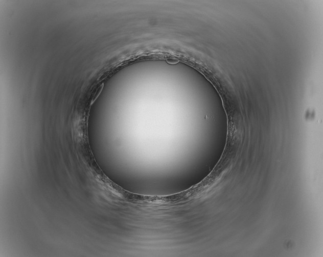 X0000096131490200802011135