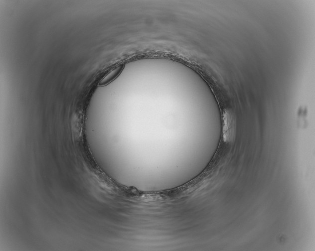 X0000096131491200802011135
