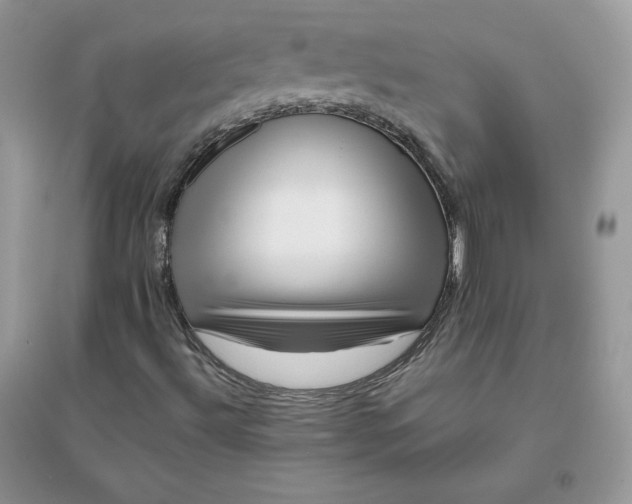 X0000096131492200802011135