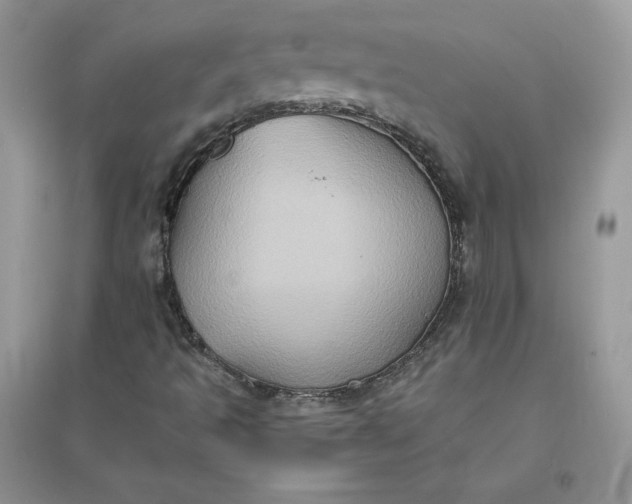 X0000096131493200802011135