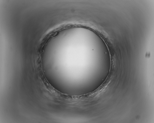 X0000096131494200802011135