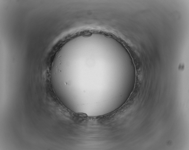 X0000096131495200802011135