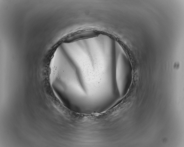 X0000096131496200802011135