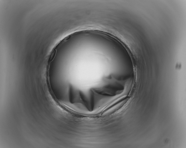 X0000096131500200802011135
