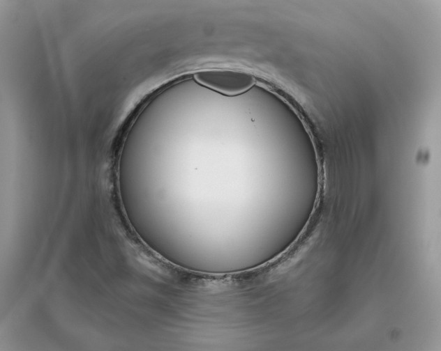 X0000096131501200802011135
