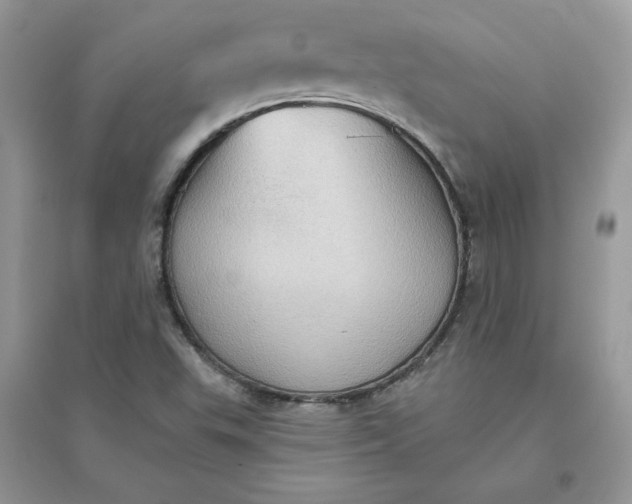 X0000096131503200802011135
