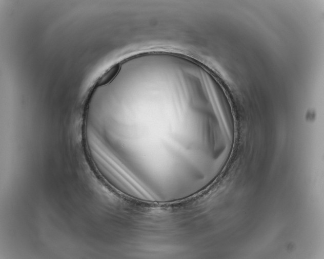 X0000096131504200802011135