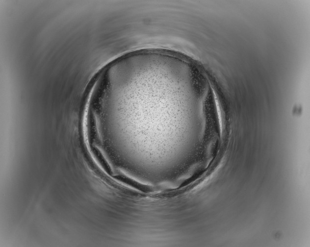 X0000096131505200802011135