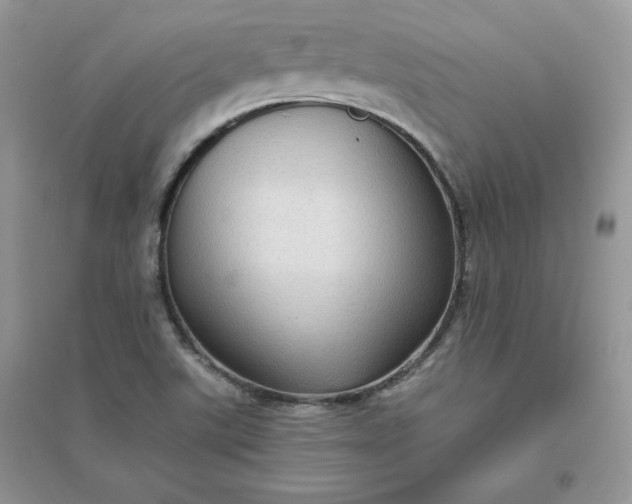 X0000096131507200802011135