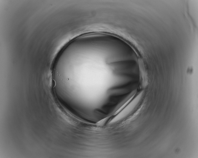 X0000096131509200802011135