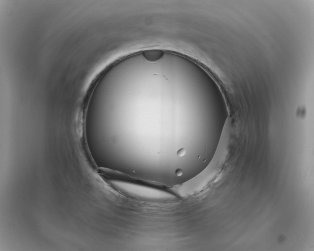 X0000096131510200802011135