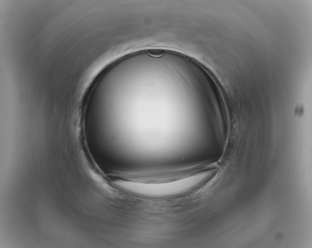 X0000096131511200802011135