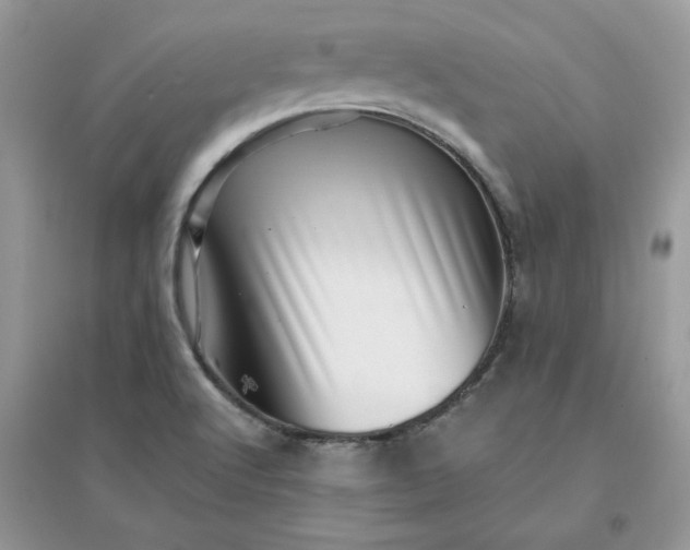 X0000096131512200802011136