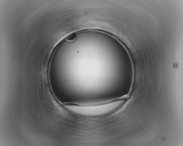 X0000096131513200802011136