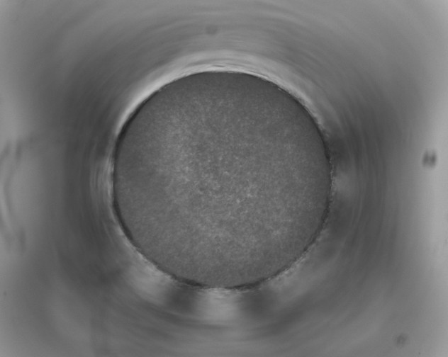 X0000096131514200802011136