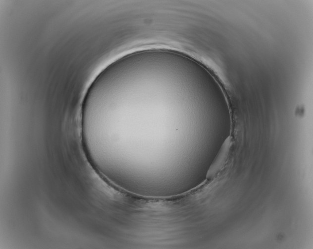X0000096131516200802011136