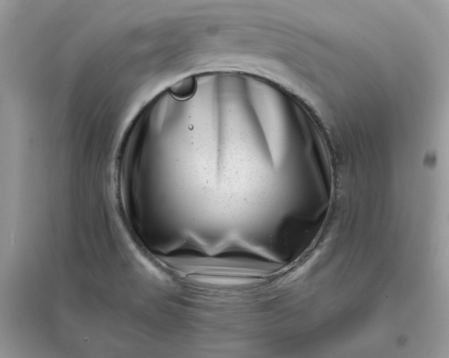 X0000096131517200802011136