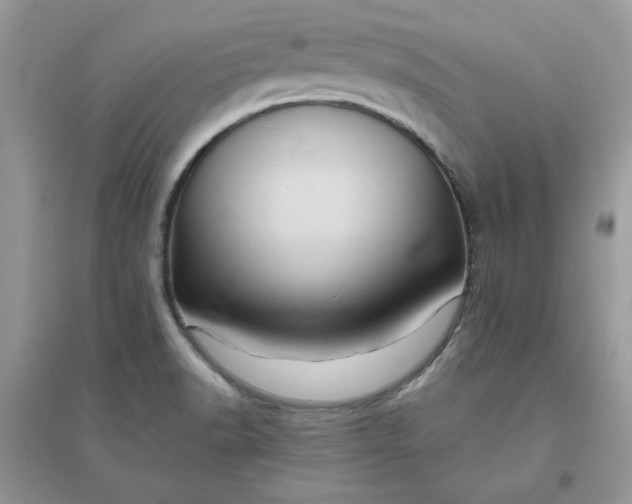 X0000096131518200802011136